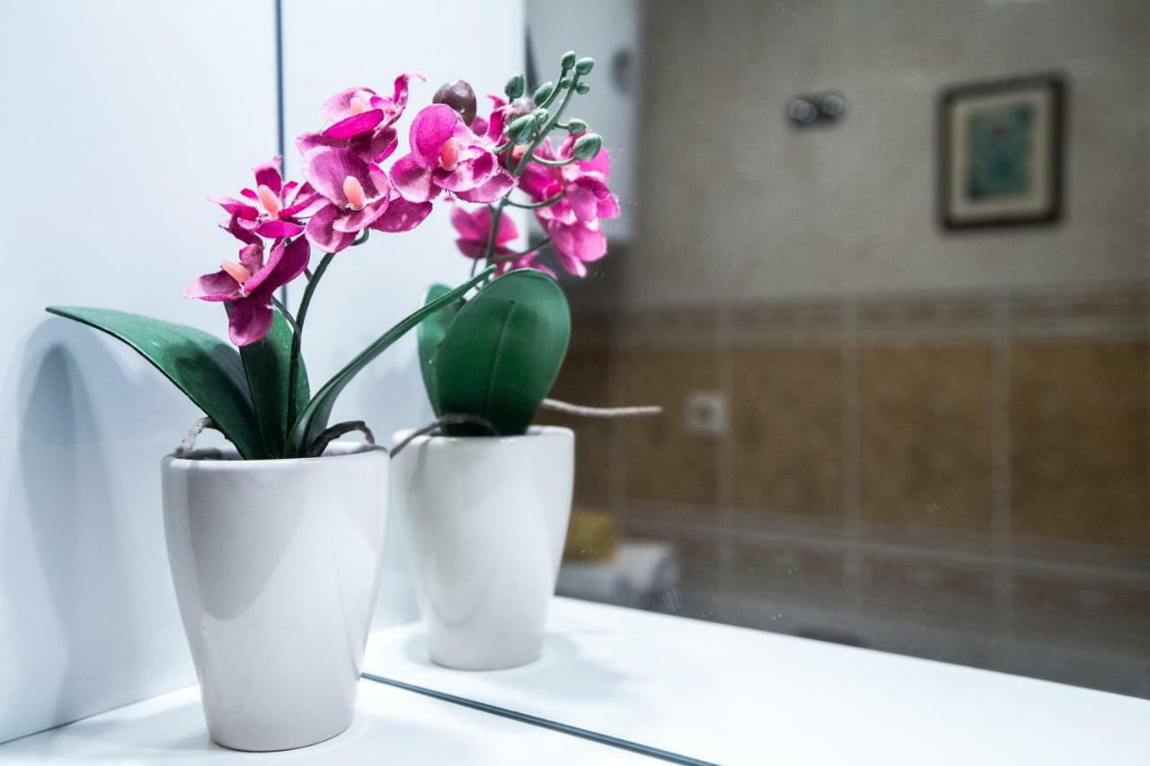 Split Lovret Apartment Εξωτερικό φωτογραφία